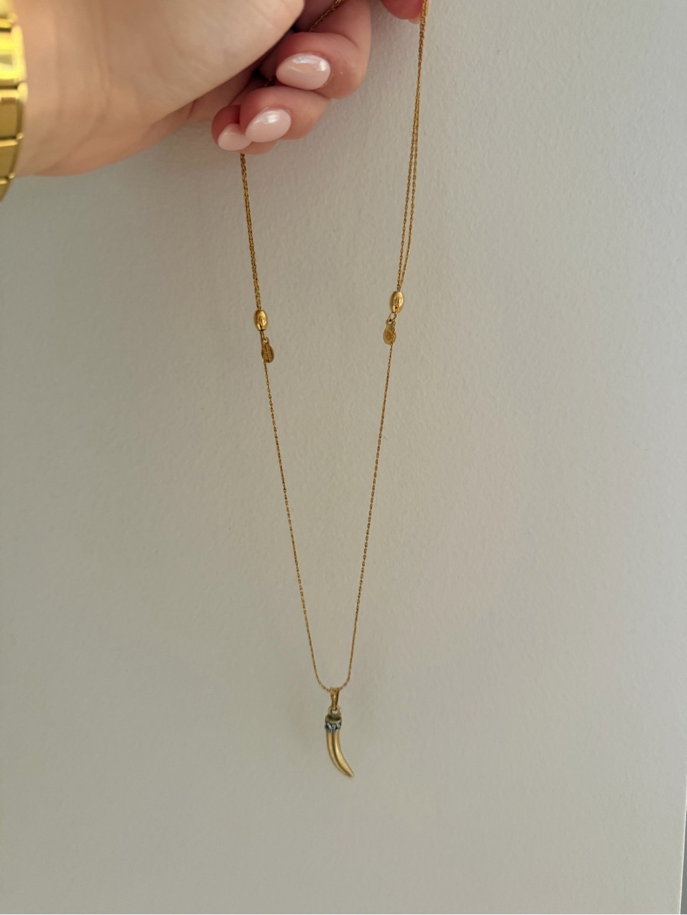 Alex and Ani Gold Horn Pendant Necklace